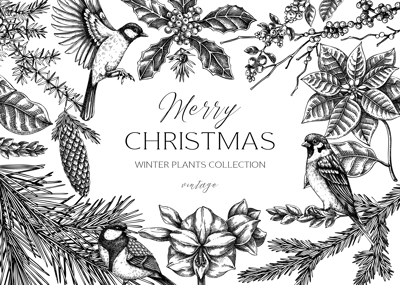 Christmas card design. Winter plants vintage background. Conifer trees, winter flowers, birds sketches. Hand drawn vector illustration. NOT AI generated